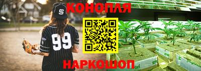 apvp Краснодар