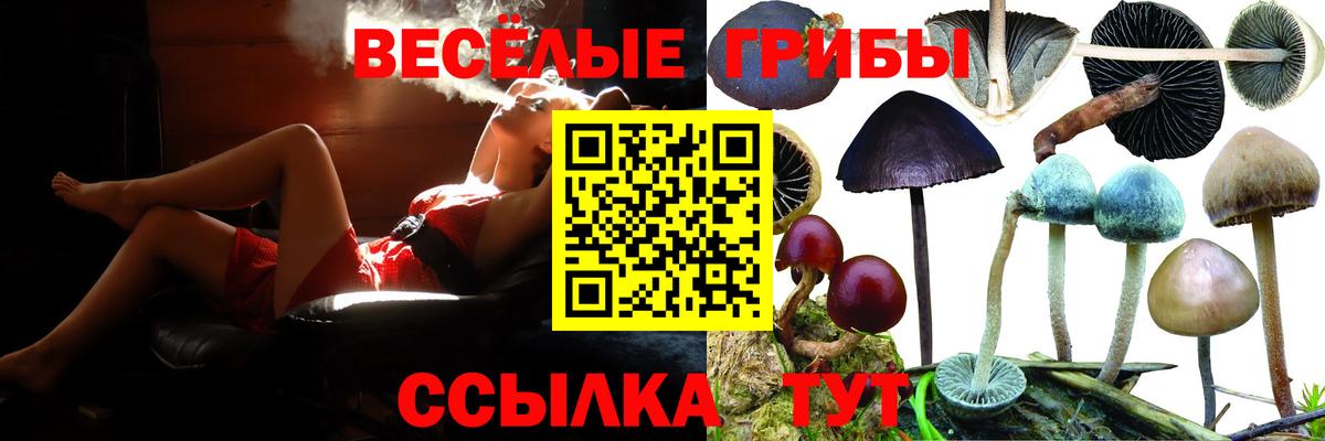 Псилоцибиновые грибы прущие грибы  Вход с VPN  Качканар 