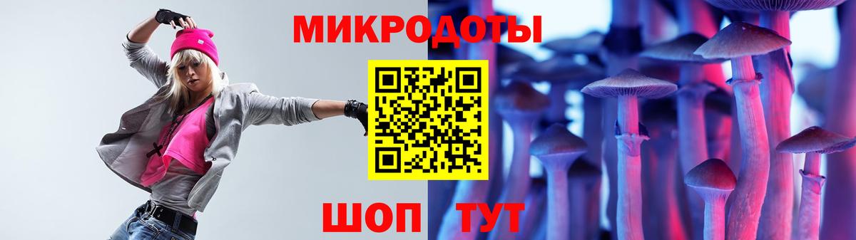 Псилоцибиновые грибы прущие грибы Качканар