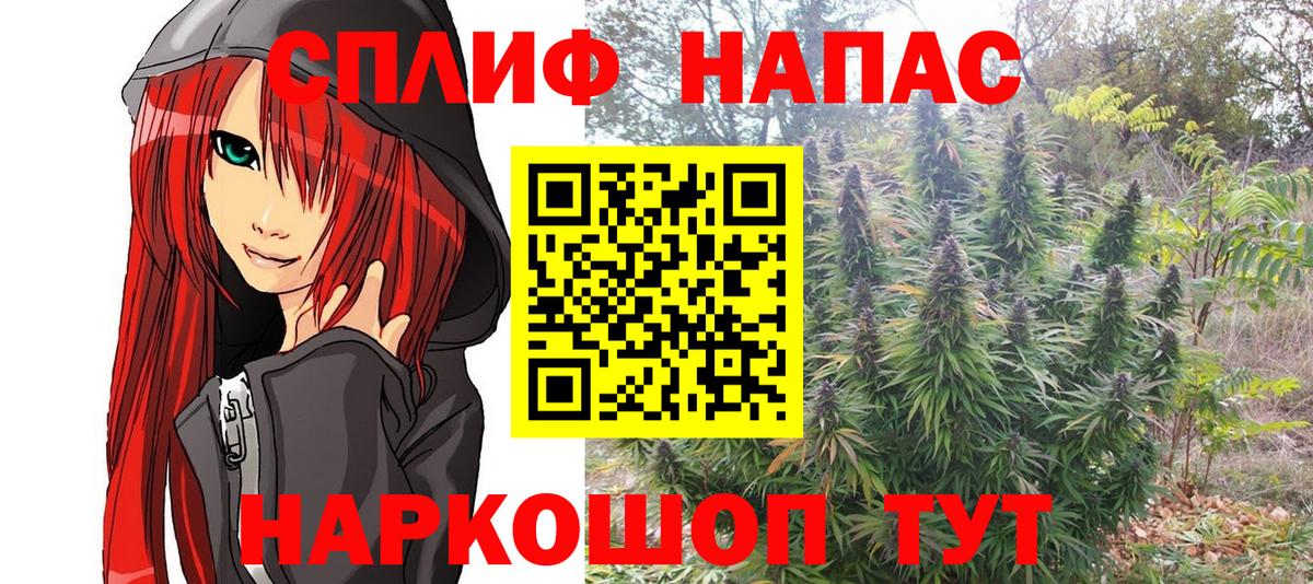 Бошки Шишки семена  Канабис планчик  Качканар  Бошки Шишки индика  Вход с VPN 